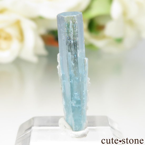 ֥饸 Mimoso do Sul ޥθ No.3μ̿0 cute stone