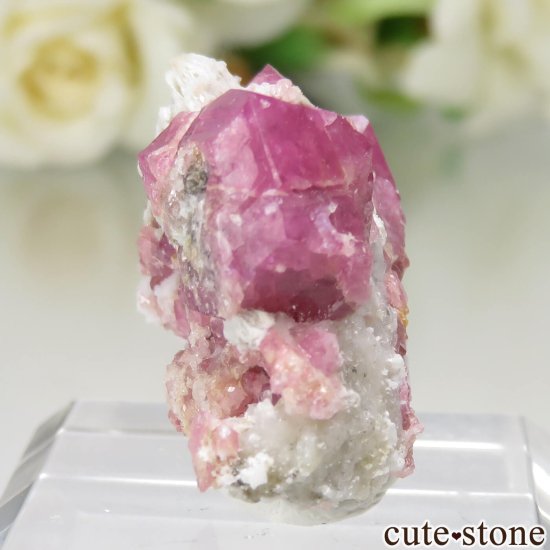 メキシコ産 グロッシュラーガーネット（ラズベリーガーネット）の原石 No.6の写真0 cute stone