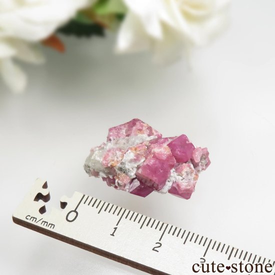 メキシコ産 グロッシュラーガーネット（ラズベリーガーネット）の原石 No.6の写真3 cute stone