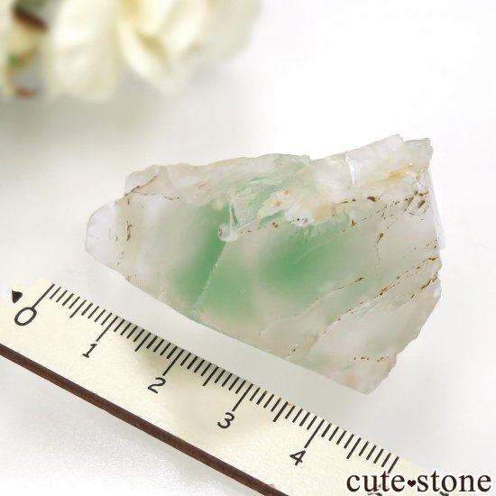 ӥ Pena Blanca Mine ۥ磻ȡߥ꡼ե饤Ȥθ No.1μ̿3 cute stone