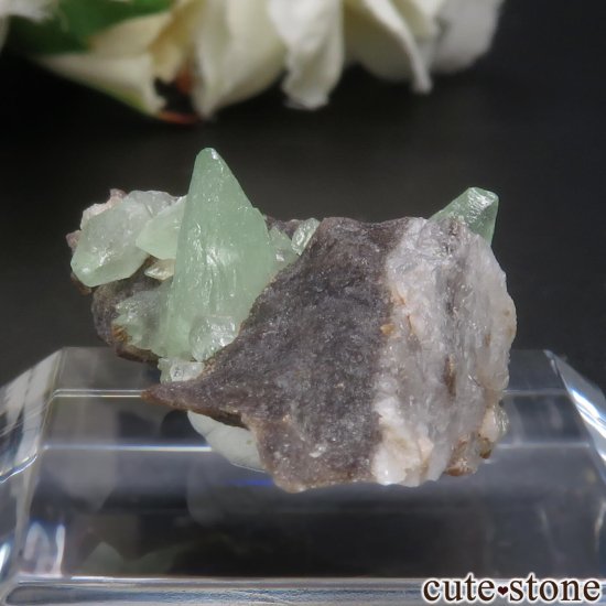 【鉱物標本】ツーソン新着  キウイカルサイト 原石 アメリカ産