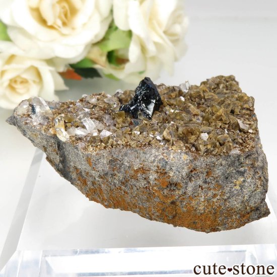 カナダ ユーコン ラピッドクリーク産 ラズライト(天藍石)＆シデライト＆クォーツの原石 No.34の写真0 cute stone