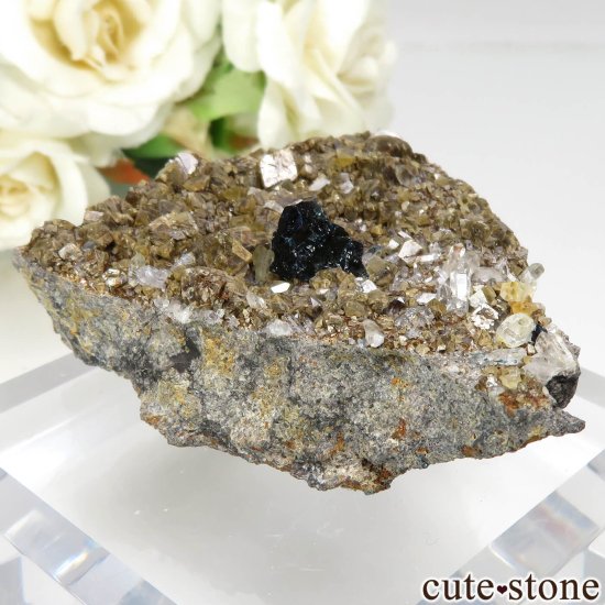 ʥ 桼 ԥåɥ꡼ 饺饤(ŷ)ǥ饤ȡĤθ No.34μ̿1 cute stone