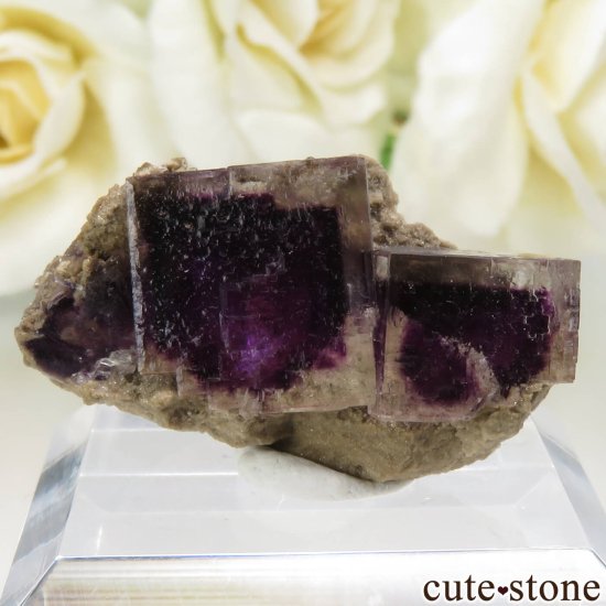 アメリカ オハイオ州 Auglaize Quarry産 フローライトの原石 No.2の画像 cute stone