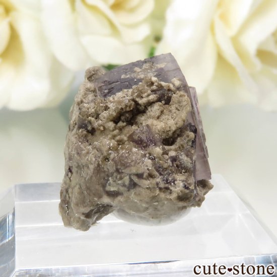アメリカ オハイオ州 Auglaize Quarry産 フローライトの原石 No.2の写真0 cute stone