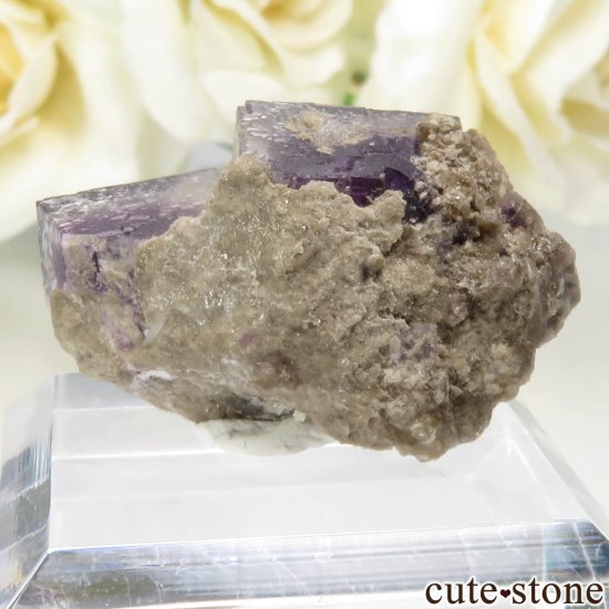 アメリカ オハイオ州 Auglaize Quarry産 フローライトの原石 No.2の写真1 cute stone