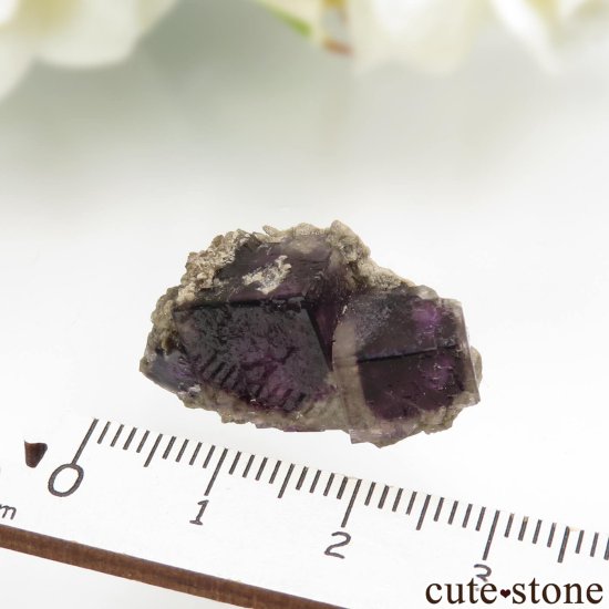 アメリカ オハイオ州 Auglaize Quarry産 フローライトの原石 No.2の写真6 cute stone