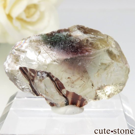 쥴 Plush 쥴󥵥󥹥ȡθСʥ꡼&åɷϡ No.16μ̿1 cute stone