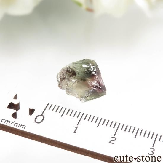 쥴 Plush 쥴󥵥󥹥ȡθСʥ꡼&åɷϡ No.19μ̿1 cute stone