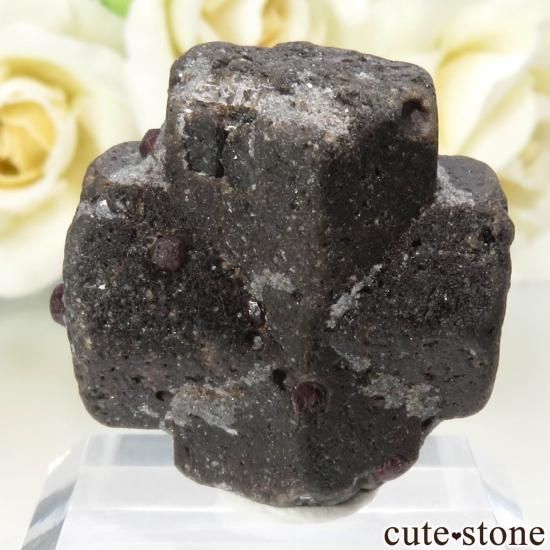 ˥塼ᥭ Pilar 饤ȡʽСˡͥåȤθ No.1μ̿1 cute stone