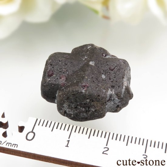 ˥塼ᥭ Pilar 饤ȡʽСˡͥåȤθ No.1μ̿3 cute stone