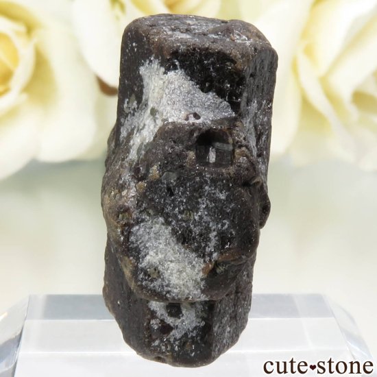 ˥塼ᥭ Pilar 饤ȡʽСˡͥåȤθ No.2μ̿2 cute stone