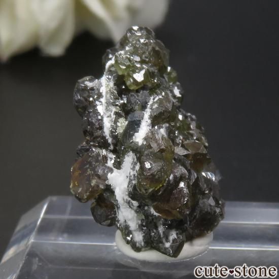 ֥륬ꥢ Madan ե饤ȡʤθ No.3μ̿0 cute stone