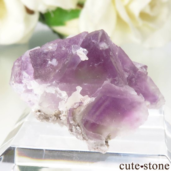 ꥫ ˥塼ᥭ Surprise Mine ѡץߥ꡼ե饤Ȥθ No.6μ̿0 cute stone