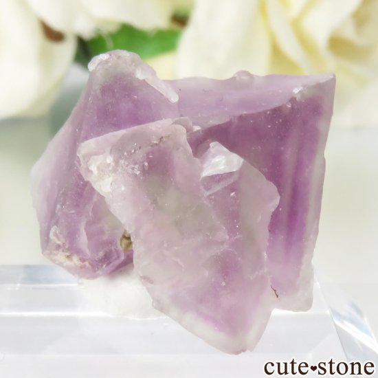 ꥫ ˥塼ᥭ Surprise Mine ѡץߥ꡼ե饤Ȥθ No.7μ̿1 cute stone