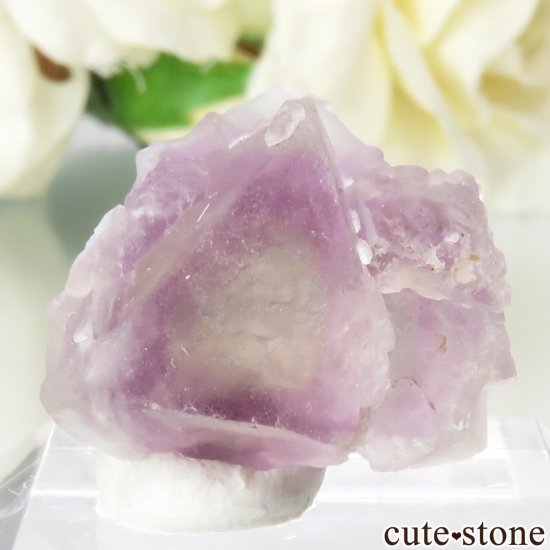 ꥫ ˥塼ᥭ Surprise Mine ѡץߥ꡼ե饤Ȥθ No.7μ̿2 cute stone