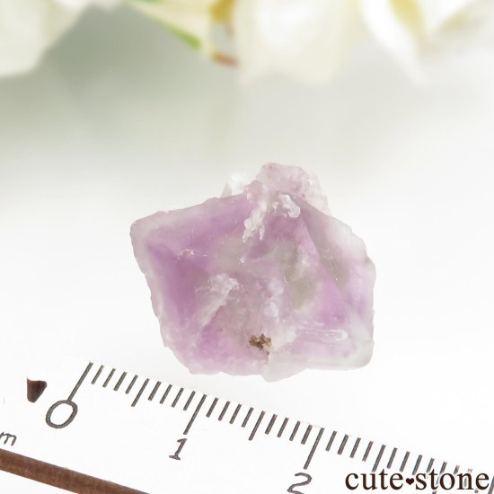 ꥫ ˥塼ᥭ Surprise Mine ѡץߥ꡼ե饤Ȥθ No.7μ̿3 cute stone