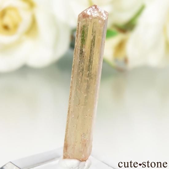 ֥饸 Ouro Preto ڥꥢȥѡθ No.15μ̿1 cute stone