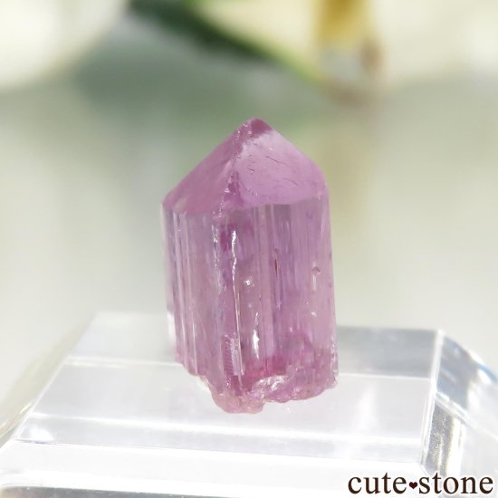 ֥饸 Ouro Preto ѡץԥ ڥꥢȥѡθ No.16μ̿0 cute stone