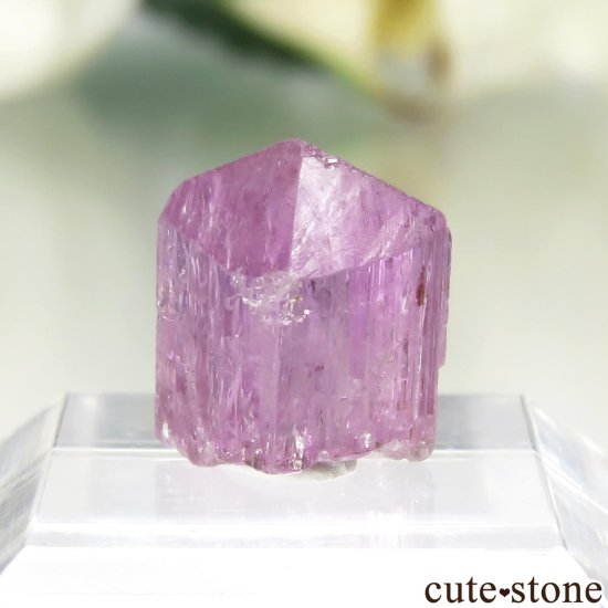 ֥饸 Ouro Preto ѡץԥ ڥꥢȥѡθ No.16μ̿1 cute stone