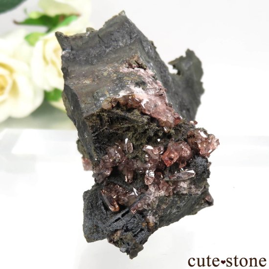 ᥭ Potosi Mine ɥȤθ No.4μ̿1 cute stone