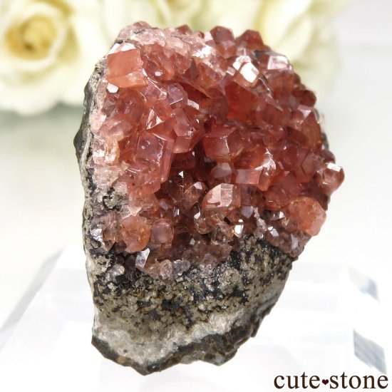 ᥭ Santa Eulalia ɥȤθ No.5μ̿0 cute stone