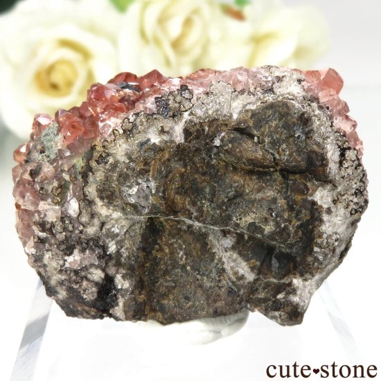 ᥭ Santa Eulalia ɥȤθ No.5μ̿1 cute stone