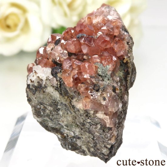 ᥭ Santa Eulalia ɥȤθ No.5μ̿2 cute stone