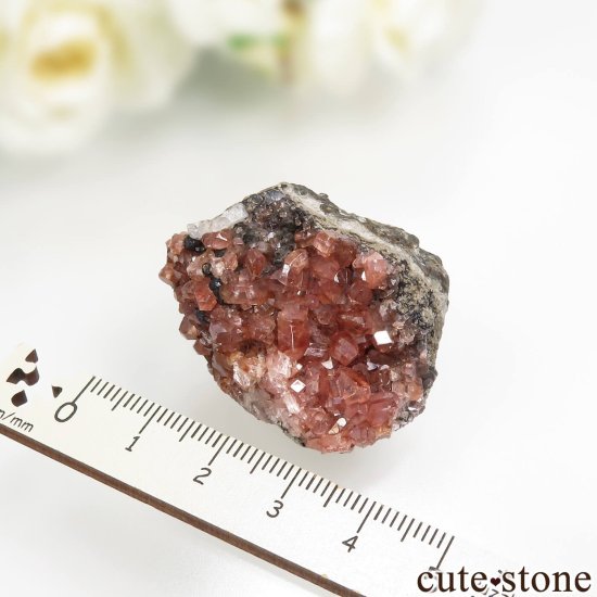 ᥭ Santa Eulalia ɥȤθ No.5μ̿5 cute stone