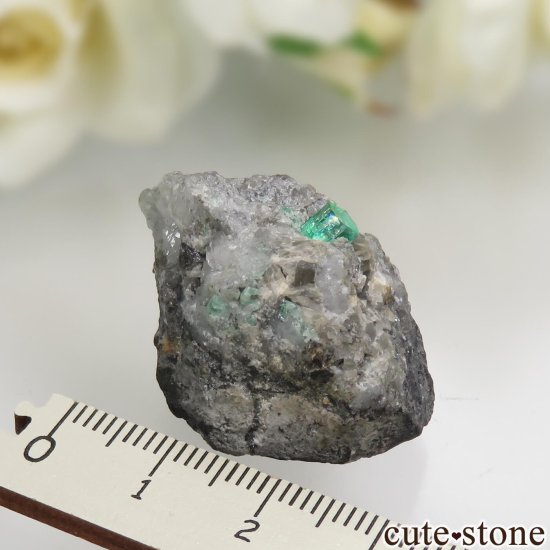 ӥ Muzo Mine ɤդ No.6μ̿5 cute stone