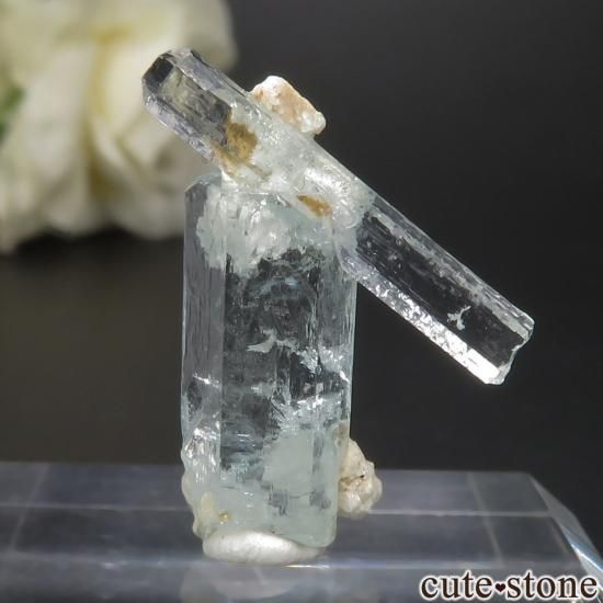 ʥߥӥ 󥴻 ޥθ No.37μ̿1 cute stone