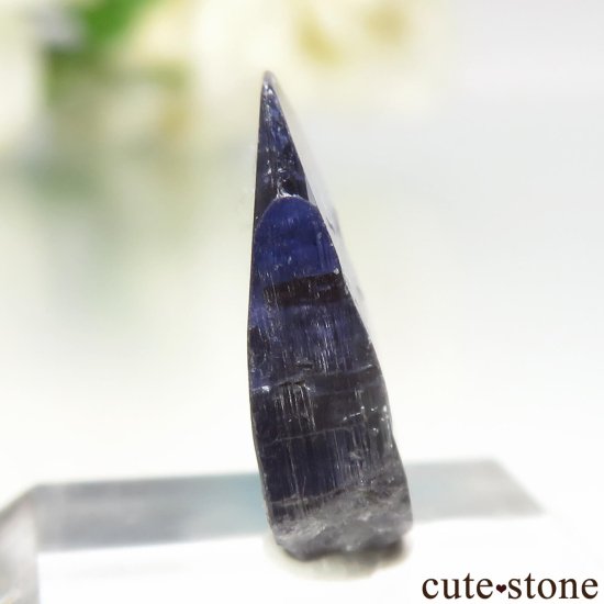 󥶥˥ ˻ 󥶥ʥȤθ No.93μ̿0 cute stone