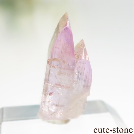 ˻ ԥ󥯡ߥȤη뾽ʸСNo.95μ̿2 cute stone