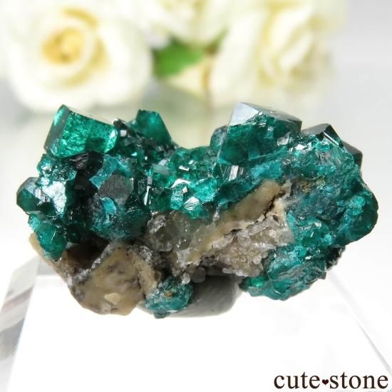 ե Altyn-TyubeΥץơη뾽ʸСNo.25μ̿1 cute stone