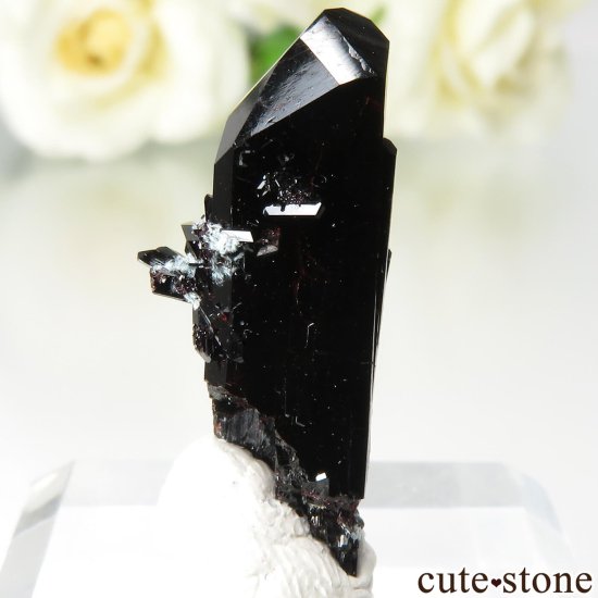 ե˥ California State Gem Mine ͥץʥȤθ No.135μ̿0 cute stone
