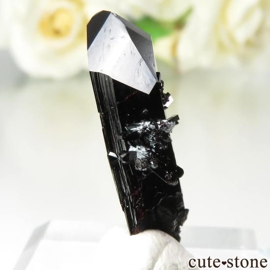 ե˥ California State Gem Mine ͥץʥȤθ No.135μ̿1 cute stone