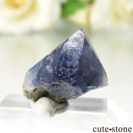 ե˥ California State Gem Mine ٥˥ȥȤθ No.139μ̿2 cute stone