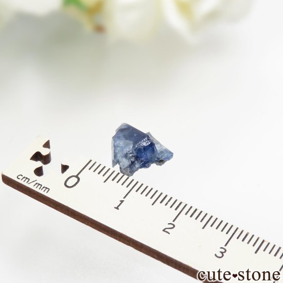 ե˥ California State Gem Mine ٥˥ȥȤθ No.142μ̿3 cute stone