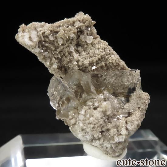 ミルキーカラーマンゴーフローライトNo.2389 ミルキーカラーマンゴー