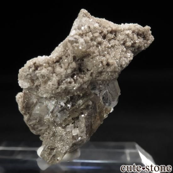 ˥塼衼 Walworth 顼쥹ե饤Ȥθ No.5μ̿1 cute stone