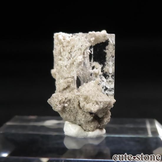 ˥塼衼 Walworth 顼쥹ե饤Ȥθ No.7μ̿0 cute stone