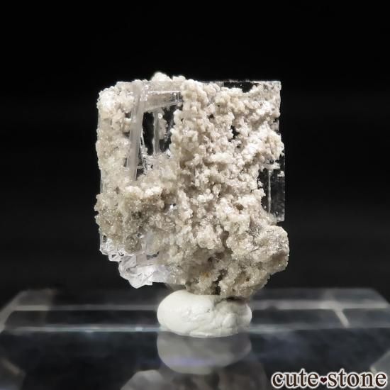 ˥塼衼 Walworth 顼쥹ե饤Ȥθ No.7μ̿1 cute stone