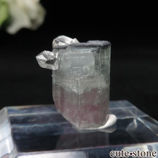 ブラジル Aricanga mine産 ウォーターメロントルマリン＆クォーツの