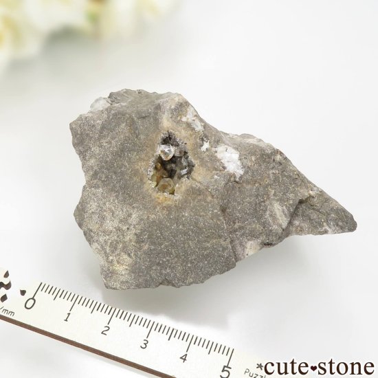 ˥塼衼 ϡޡ ġʥϡޡɡˤդ No.2μ̿1 cute stone