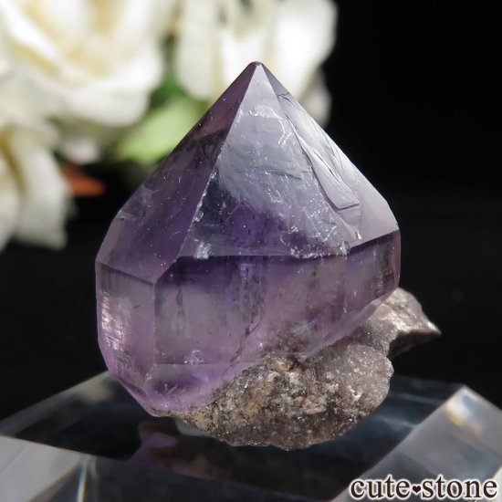 ե Balkhash ᥸Ȥθ No.1μ̿1 cute stone