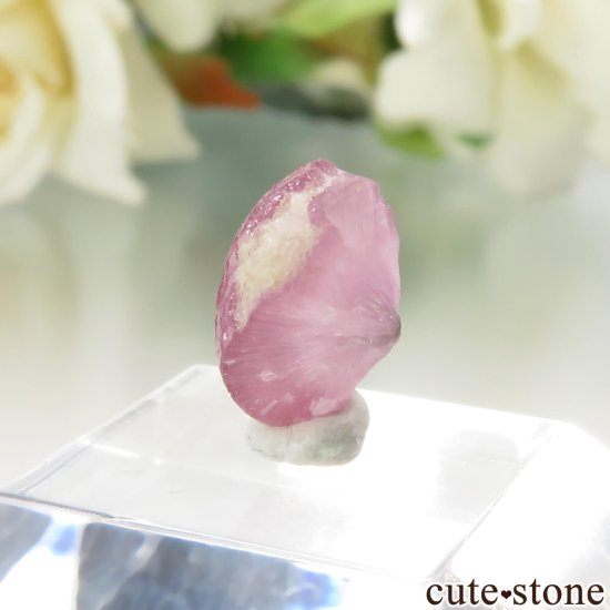ߥޡ Khetchel ԥ󥯥ȥޥʥޥå롼ˤθ No.8μ̿1 cute stone