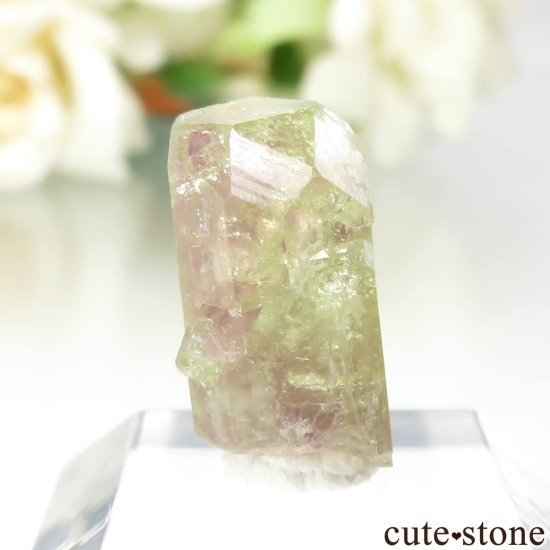 ʥ ٥å Jeffrey Mine ٥ӥʥȤθ No.5μ̿0 cute stone