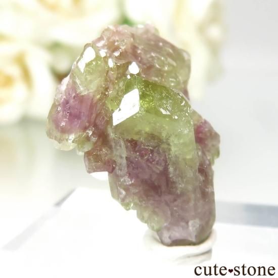ʥ ٥å Jeffrey Mine ٥ӥʥȤθ No.6μ̿0 cute stone