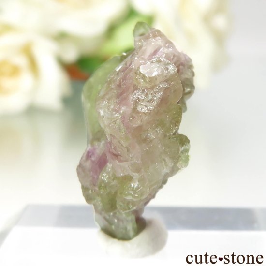 ʥ ٥å Jeffrey Mine ٥ӥʥȤθ No.6μ̿2 cute stone