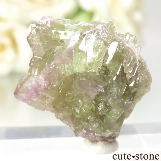 ʥ ٥å Jeffrey Mine ٥ӥʥȤθ No.7μ̿1 cute stone